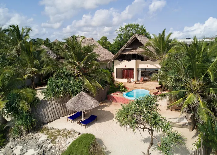 The Zanzibari